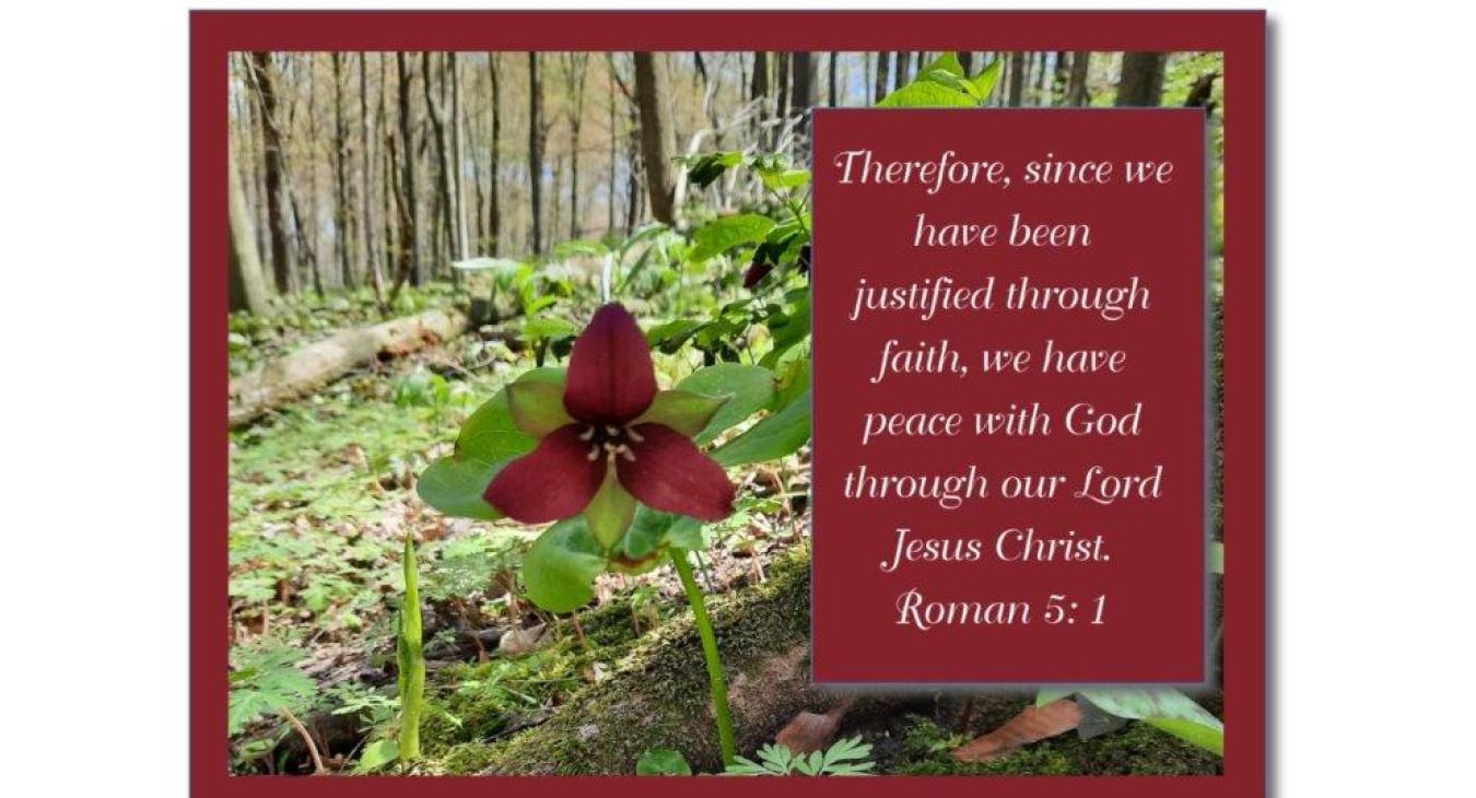 faith