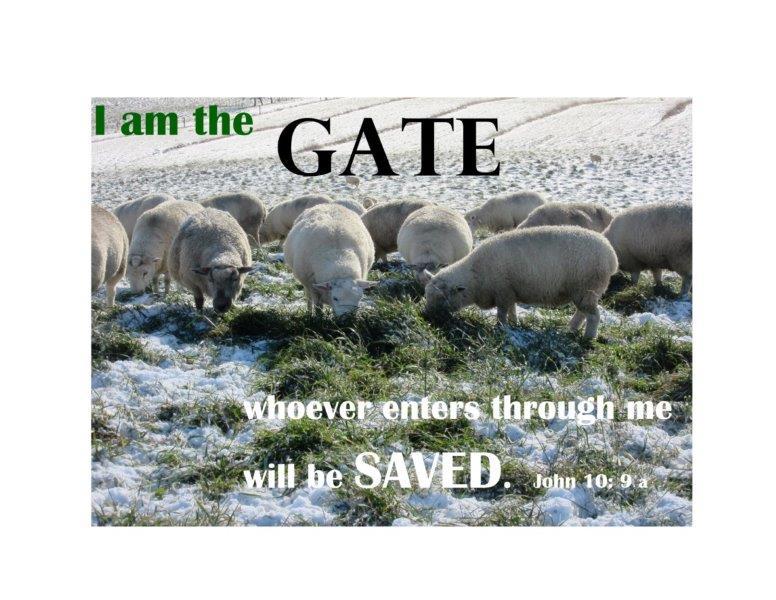 sheep gate